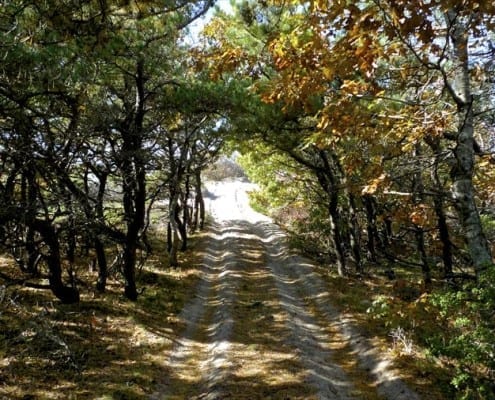 HikeArts-Website33
